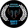 Buffalo Niagara Film Festival 2017